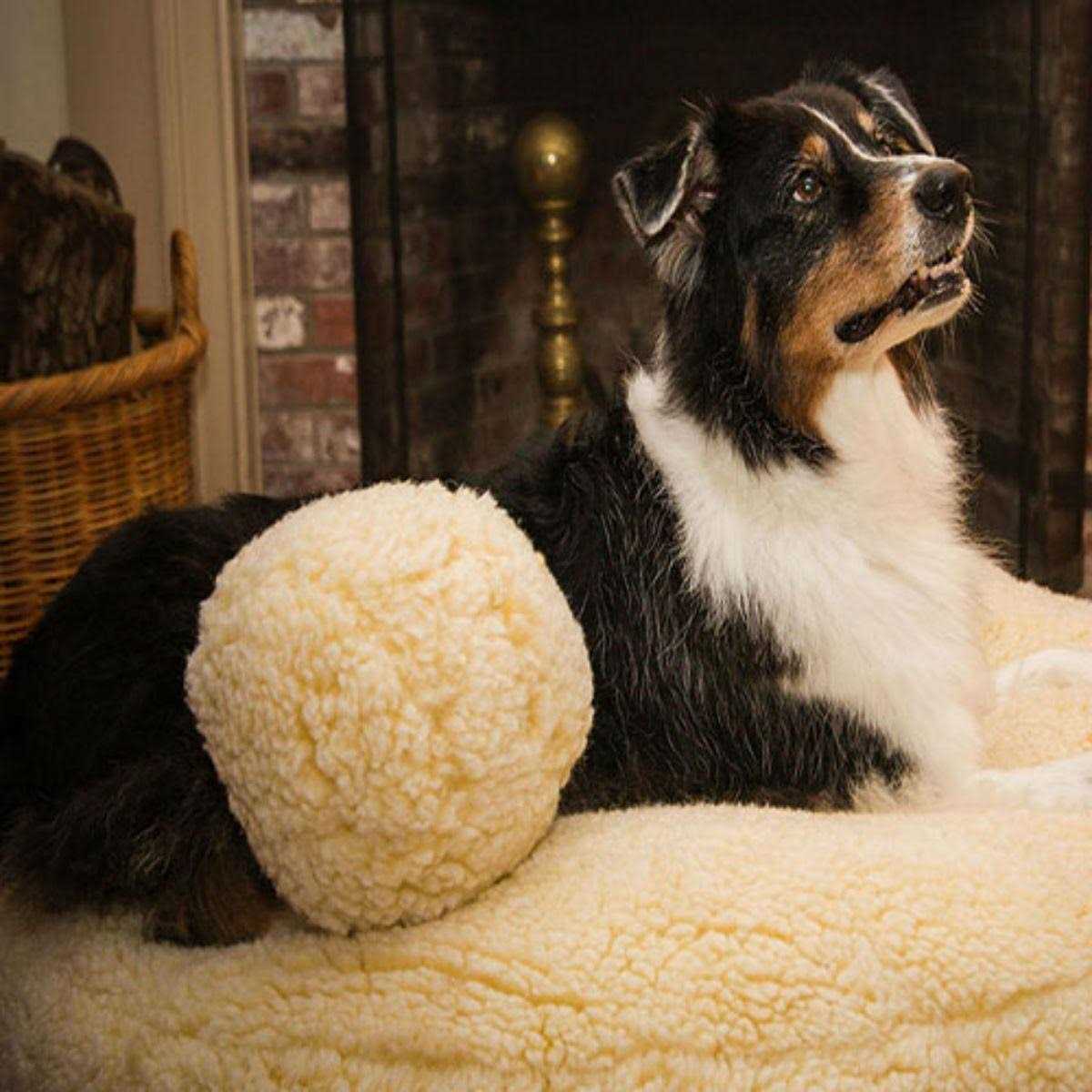 Fleece Ball Dog Toy L669