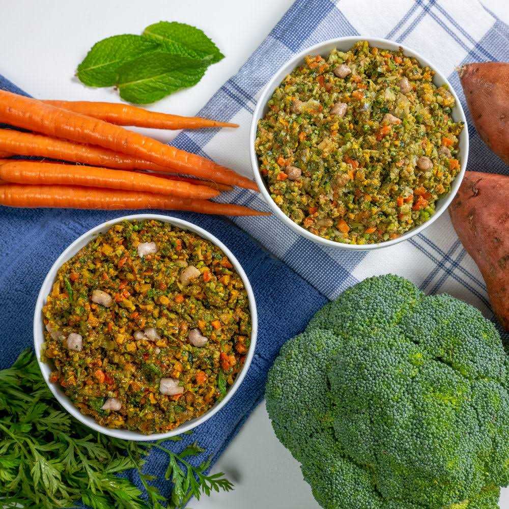 Salmon Recipe Human Grade Dog Food E294