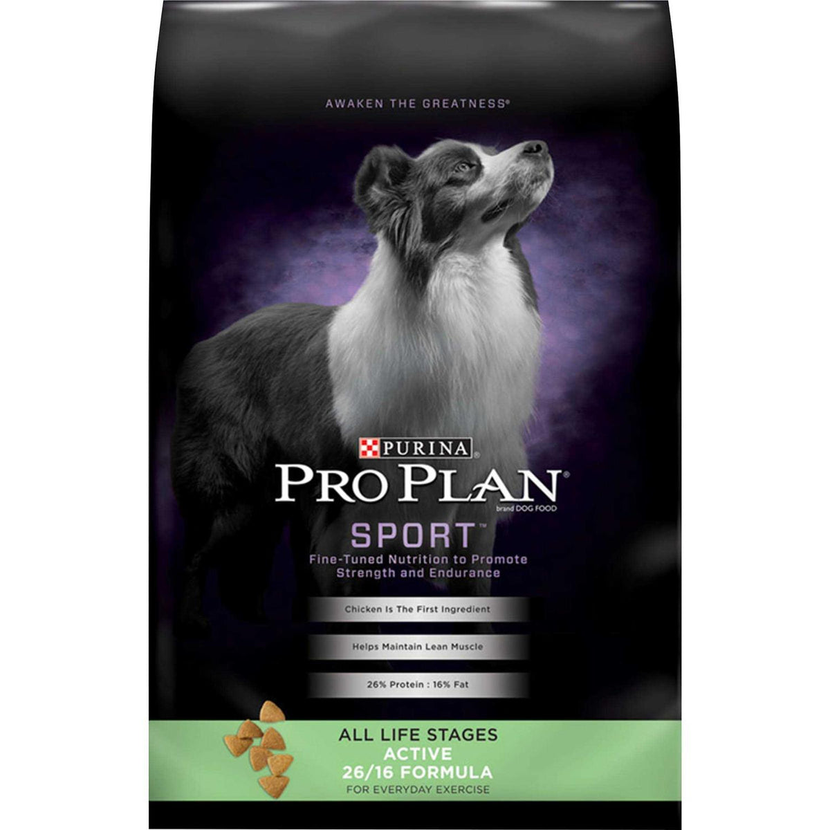 Dry Dog Food O9697