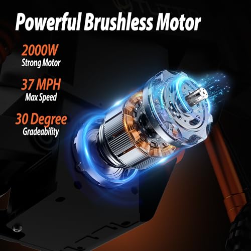 48V 21AH Removable Battery Electric Dirt Bike with Hydraulic Brakes Y412