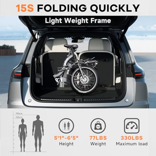 20" Folding Electric Bike with 48V20A Removable Lithium-Battery L498
