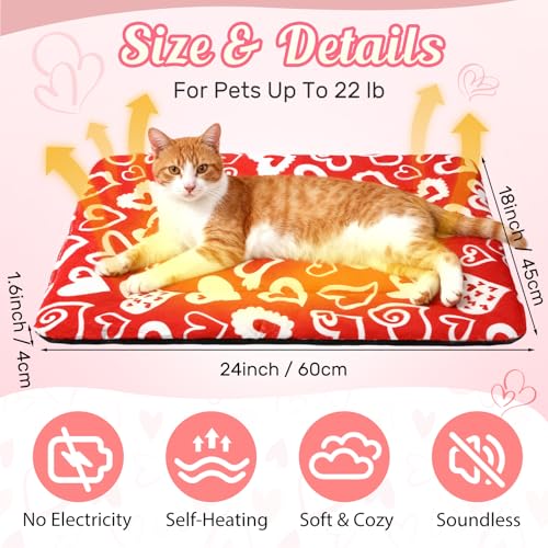 2 Pack Green Self Warming Cat Bed 18 x 24 Inch S79943