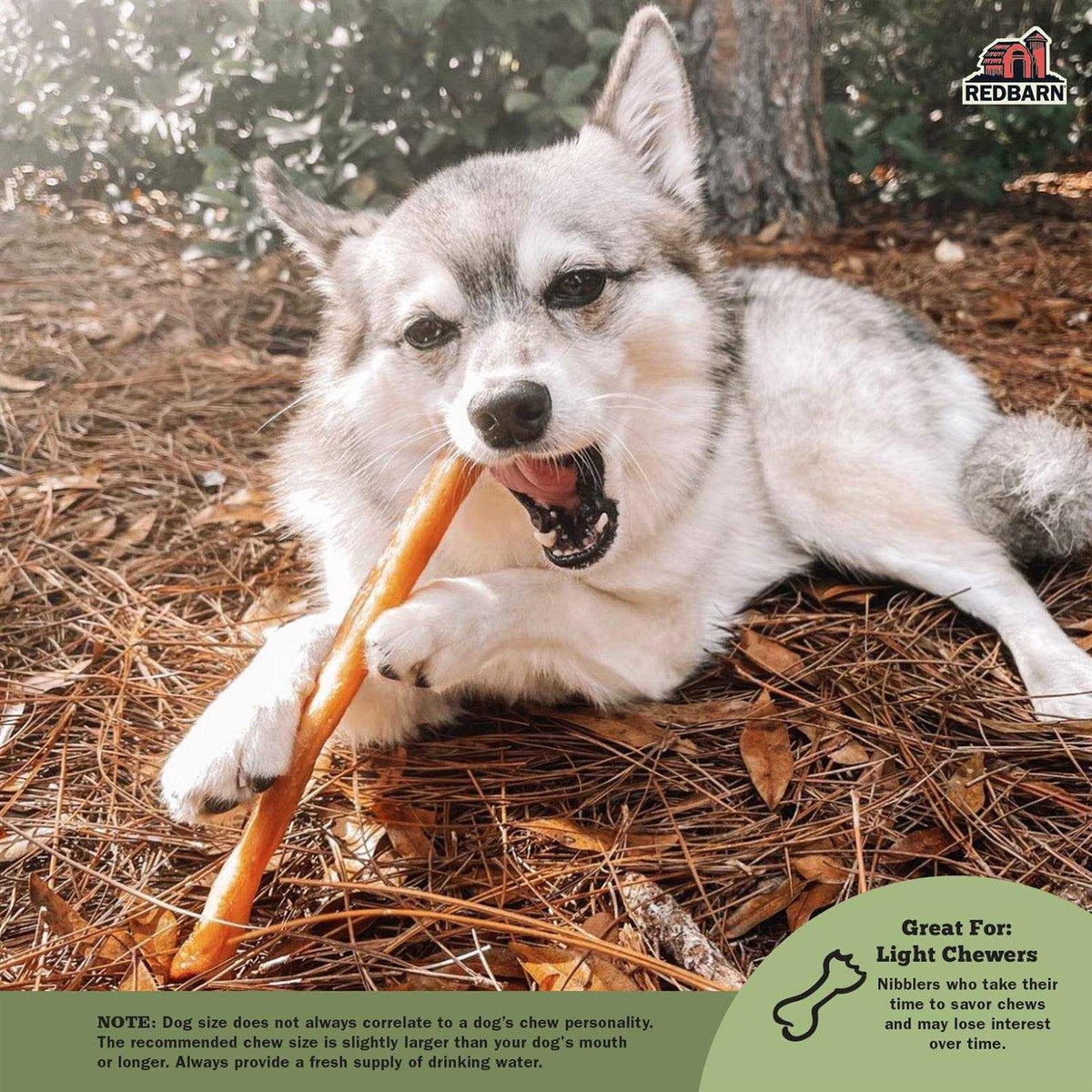 Collagen Stick Pet Supplies V999