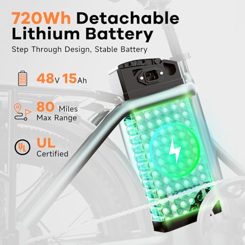 20" Folding Electric Bike with 48V20A Removable Lithium-Battery L498