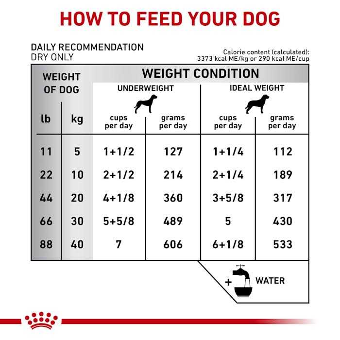 Veterinary Diet Gastrointestinal Fiber Response Dry Dog Food B21917