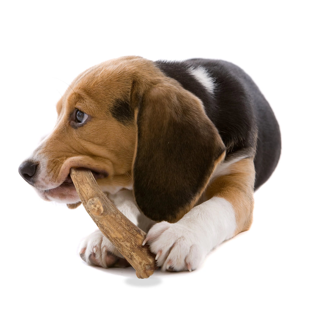 Natural Long Lasting Edible Venison Dog Chews Large 8 Count R85689