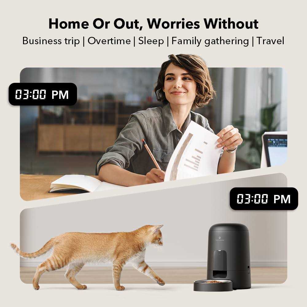 Automatic Cat and Dog Food Dispenser F977508