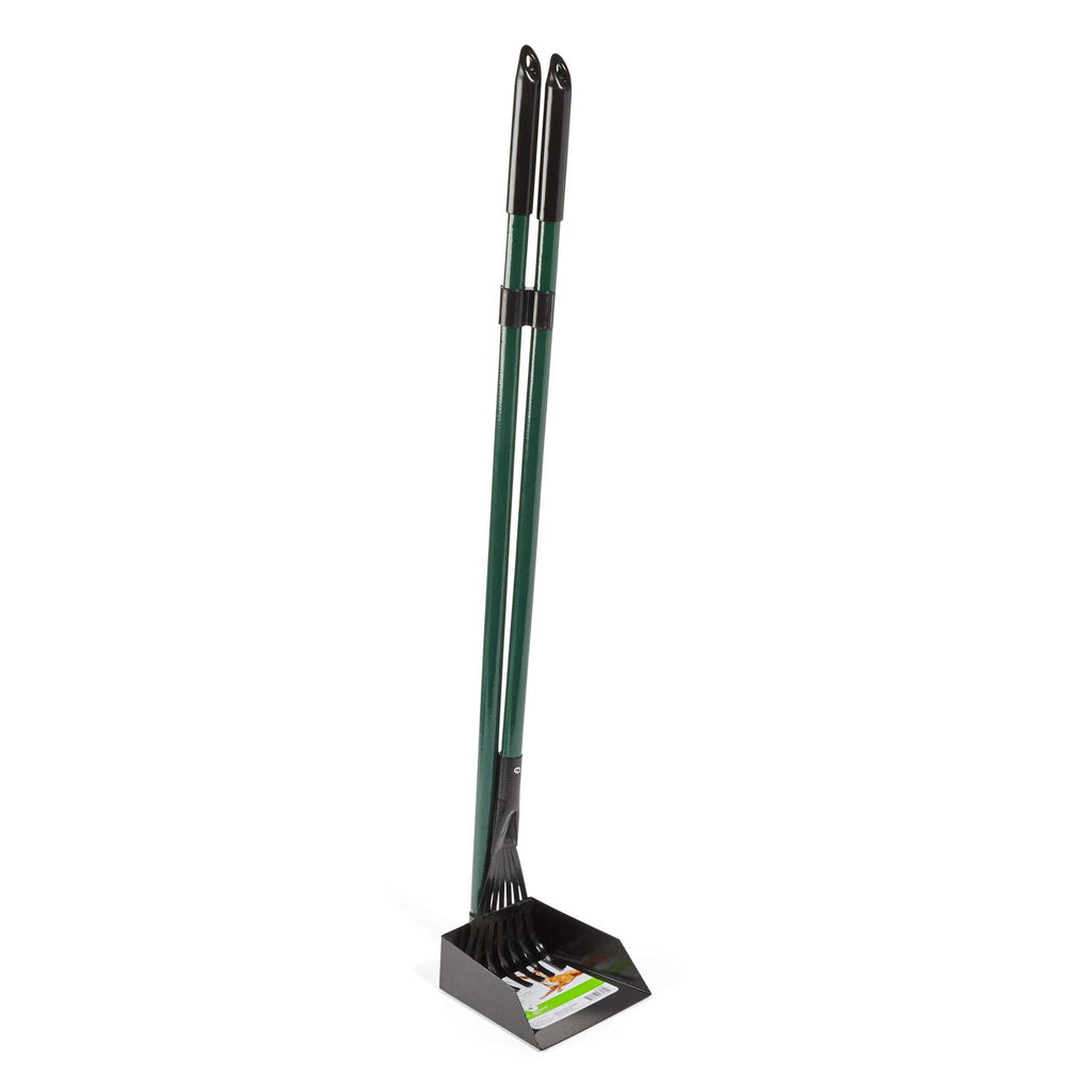 Dog Rake & Scoop Set D2022