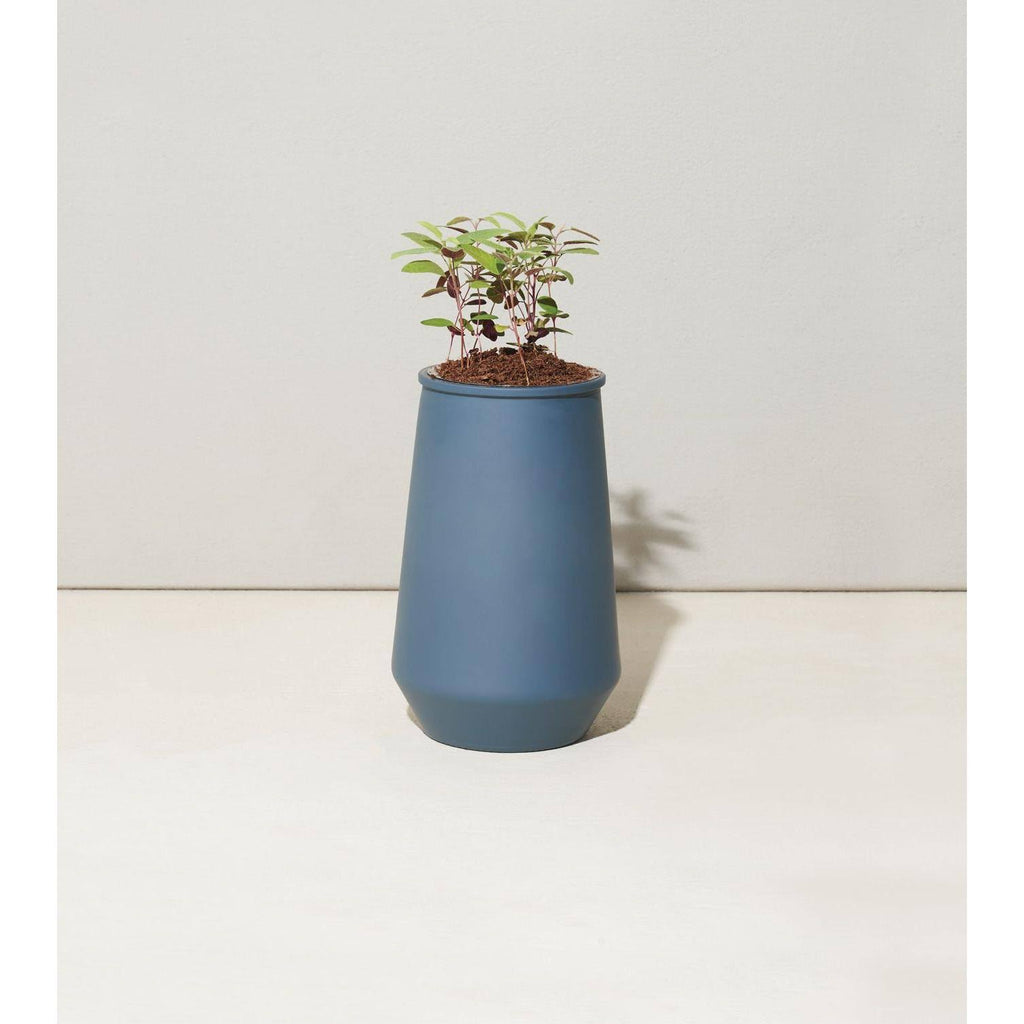 Tapered Tumbler Grow Kits, Indoor Garden Kit, Lavender & Eucalyptus (2 Jars) P245383