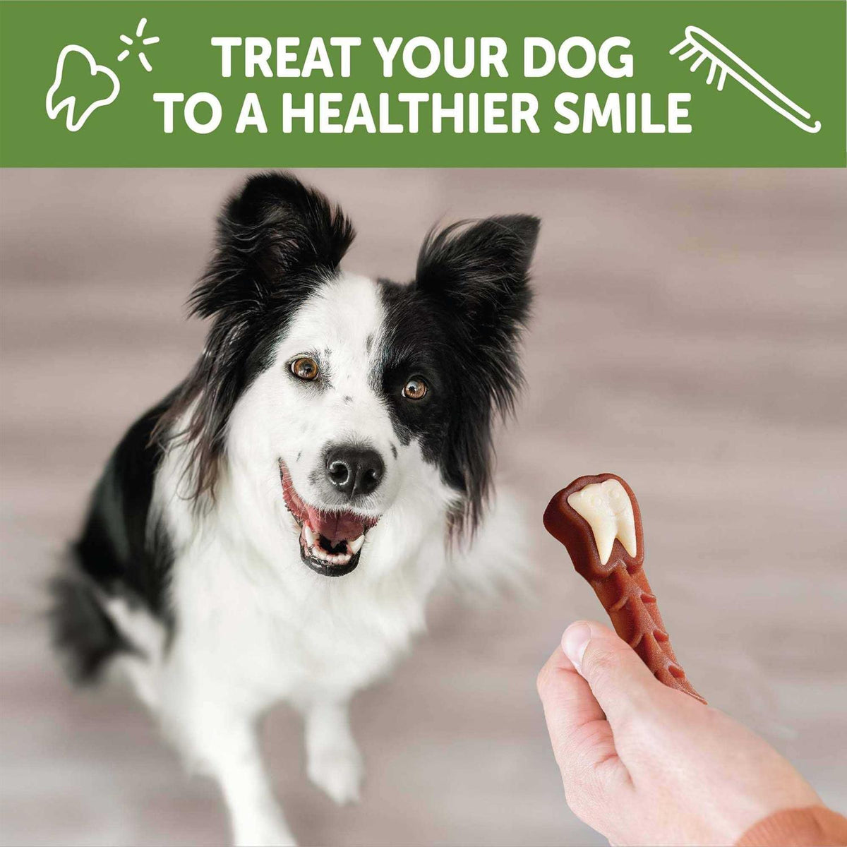 Dental Treats X678