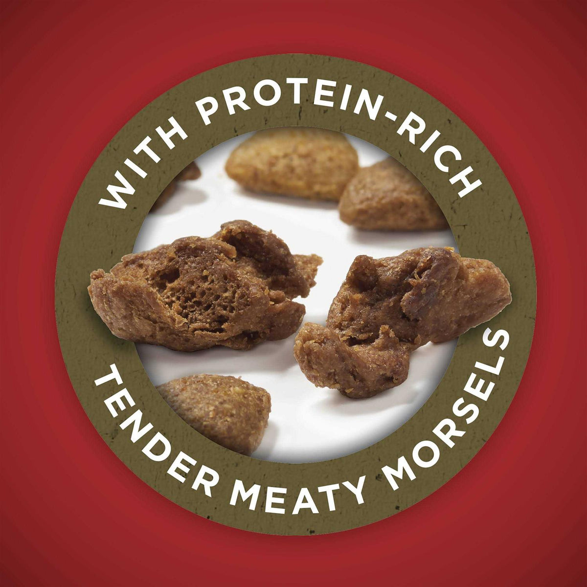 Lamb & Rice Dry Dog Food K25894