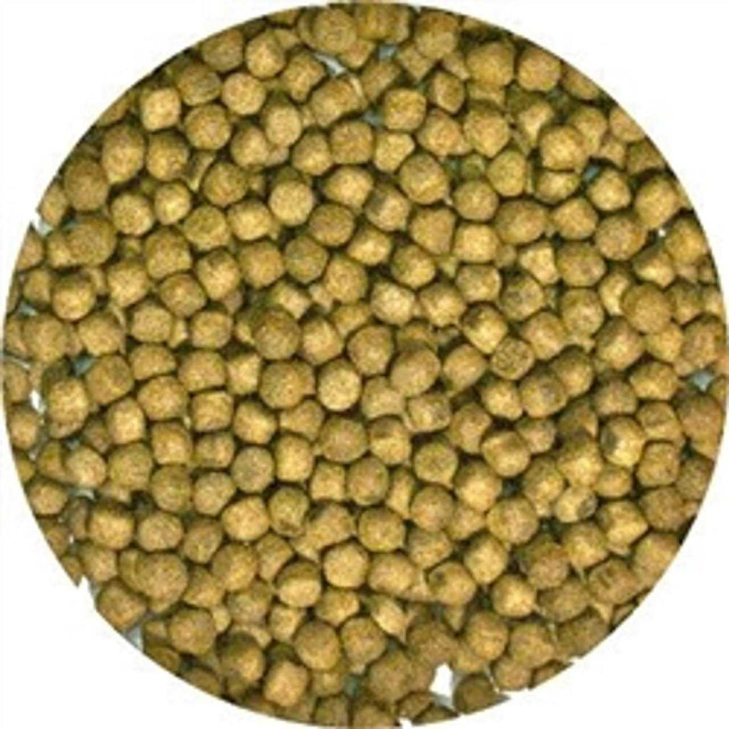 Natural Aquatic Turtle Food P13126