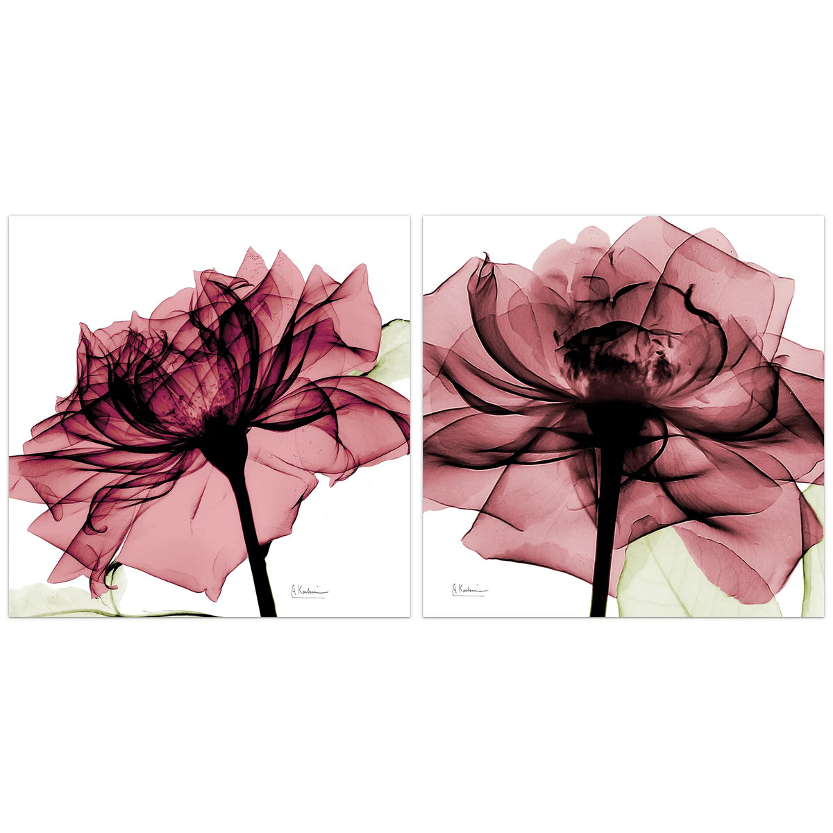 Tempered Glass Panel Wall Art, 24" x 24" V4586