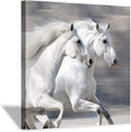 White Horse Picture Wall Art on Wrapped Canvas Z545936