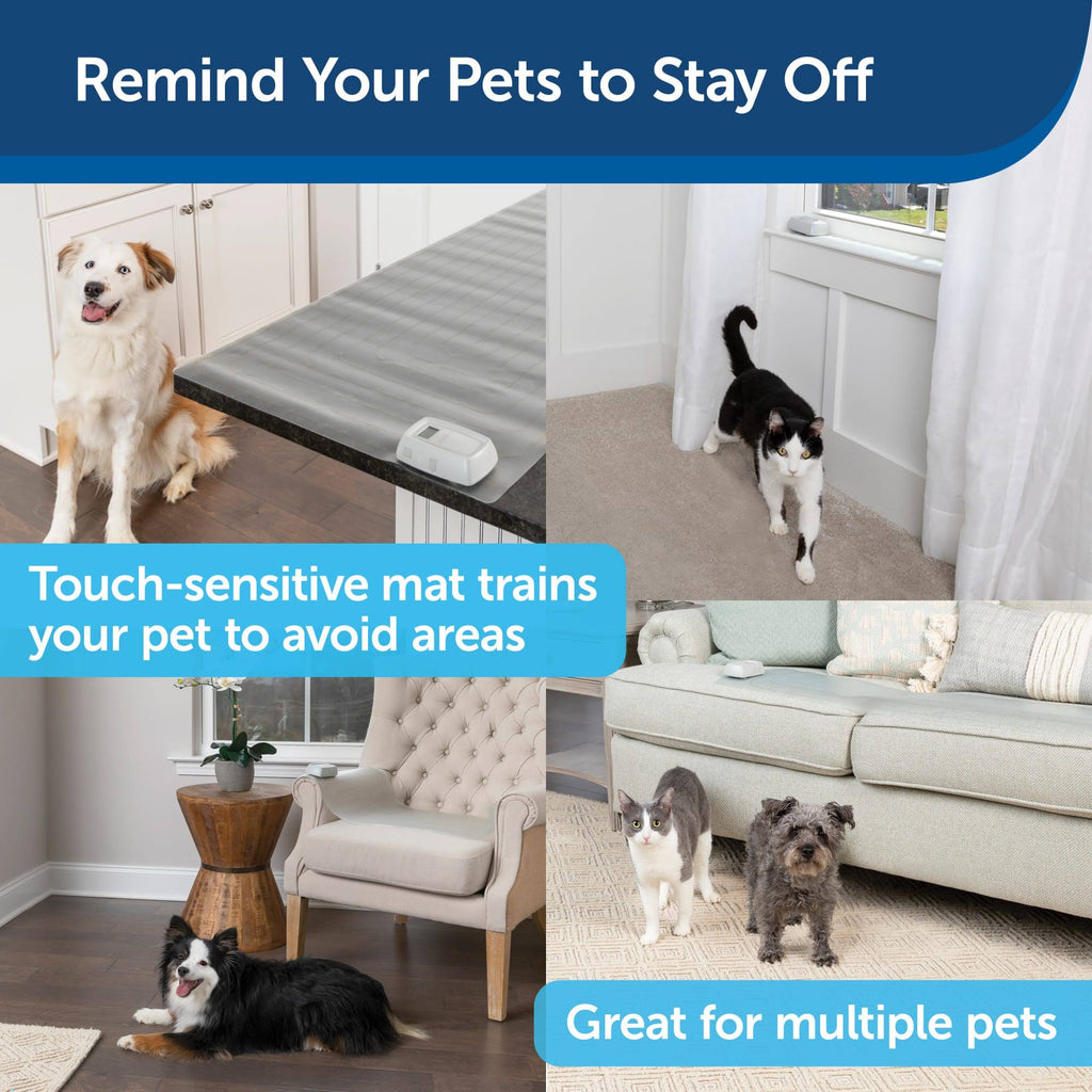Sofa Training Mat, 12 x 60 Inches V943294