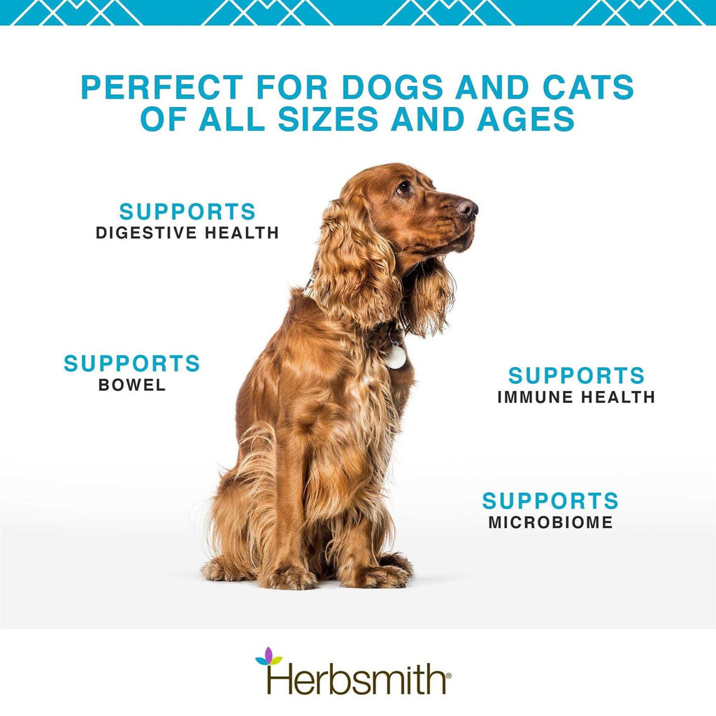 Microflora Plus for Digestion Pet Supplies J7261