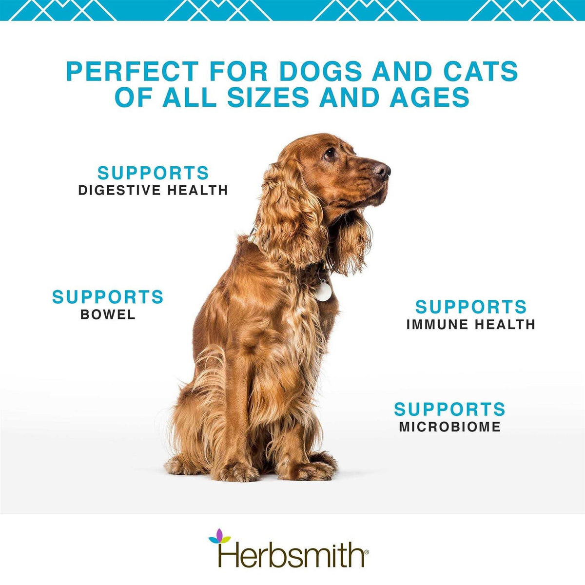 Microflora Plus for Digestion Pet Supplies J7261