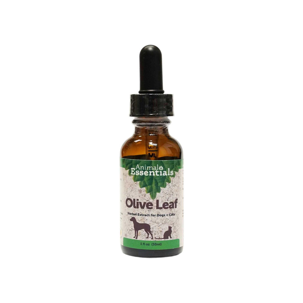 Olive Leaf Herbal Extract H36263