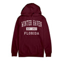 Premium Cotton Hoodie Y658