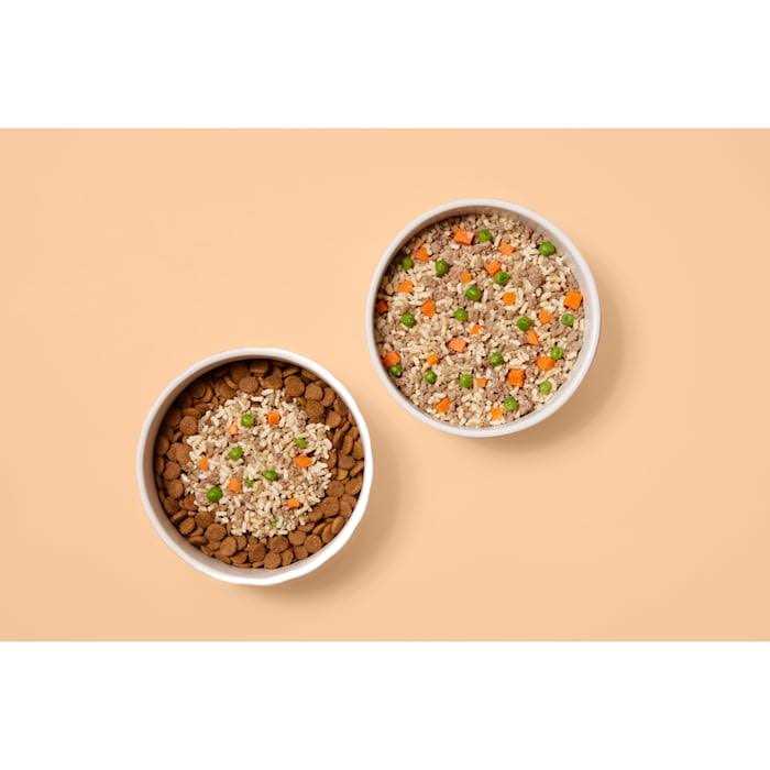 Frozen Beef Recipe Dog Food E872990