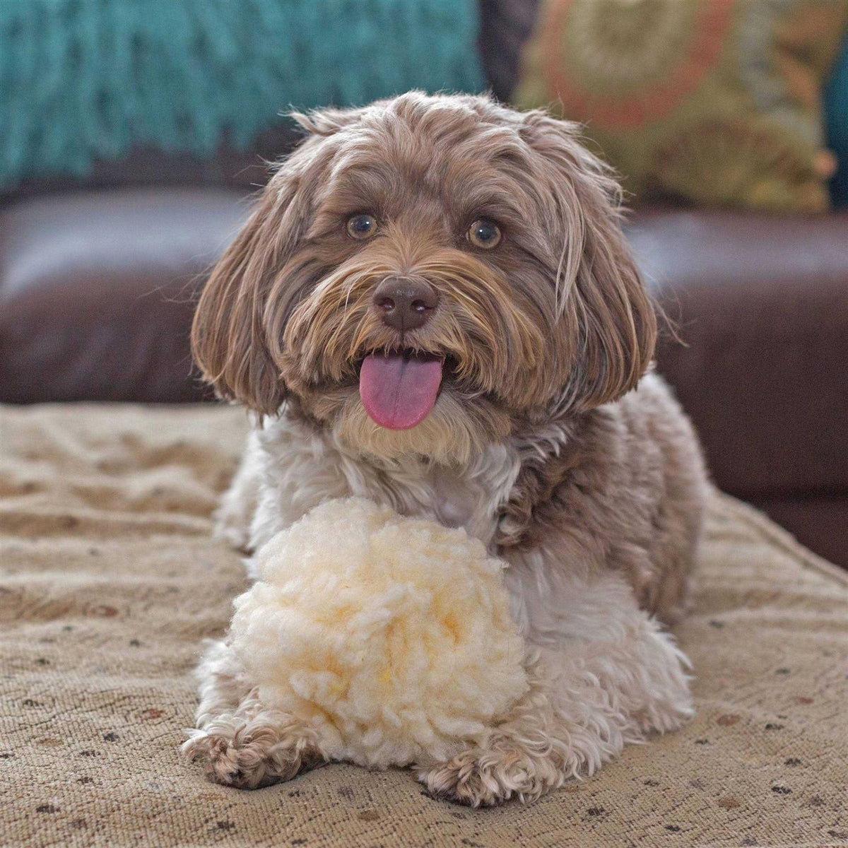 Fleece Ball Dog Toy L669