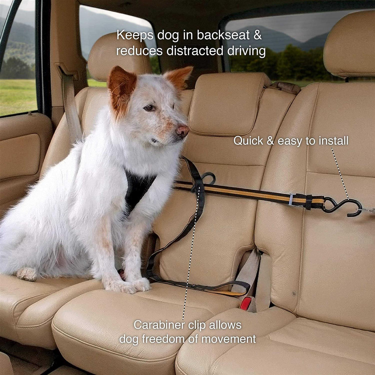 Auto Zip Line Pet Supplies F647