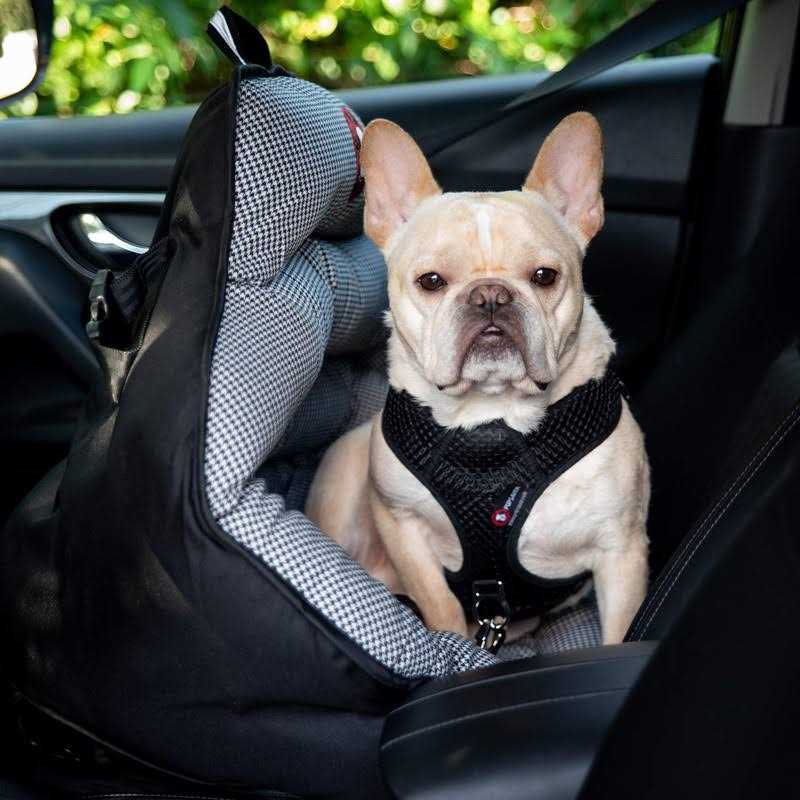 Dog Car Seat for Small and Medium Dogs U298