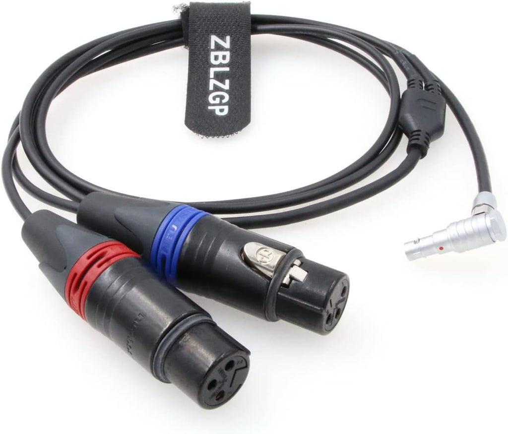 Dual 3-Pin XLR Female to 5 Pin Right Angle Audio Input Cable V7632