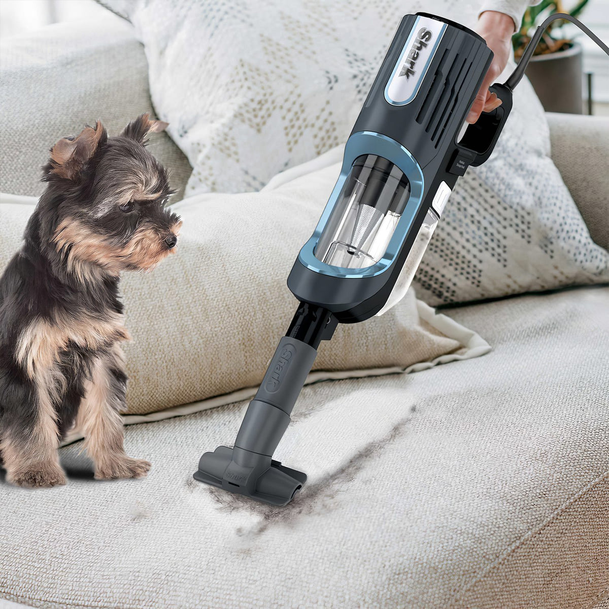 Blue Refurbished Shark Stick Vacuum K43964