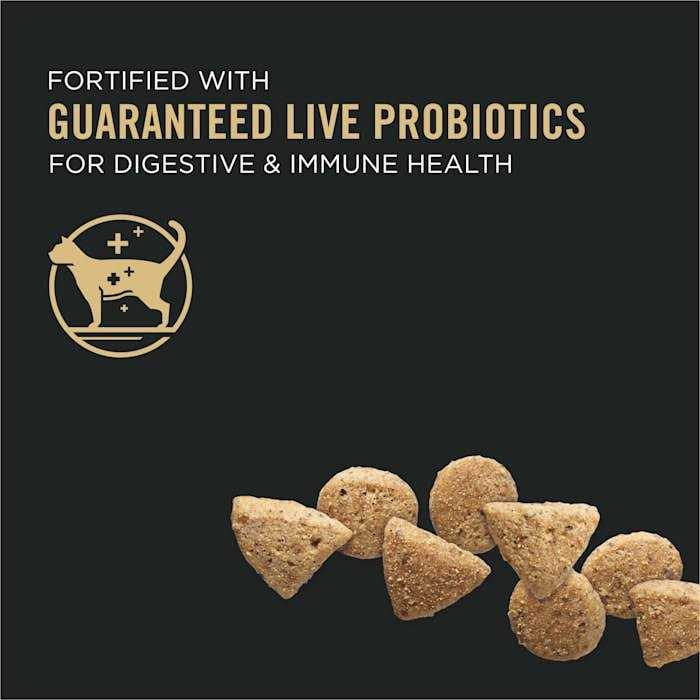 Grain Free High Protein Natural Dry Kitten Food O338