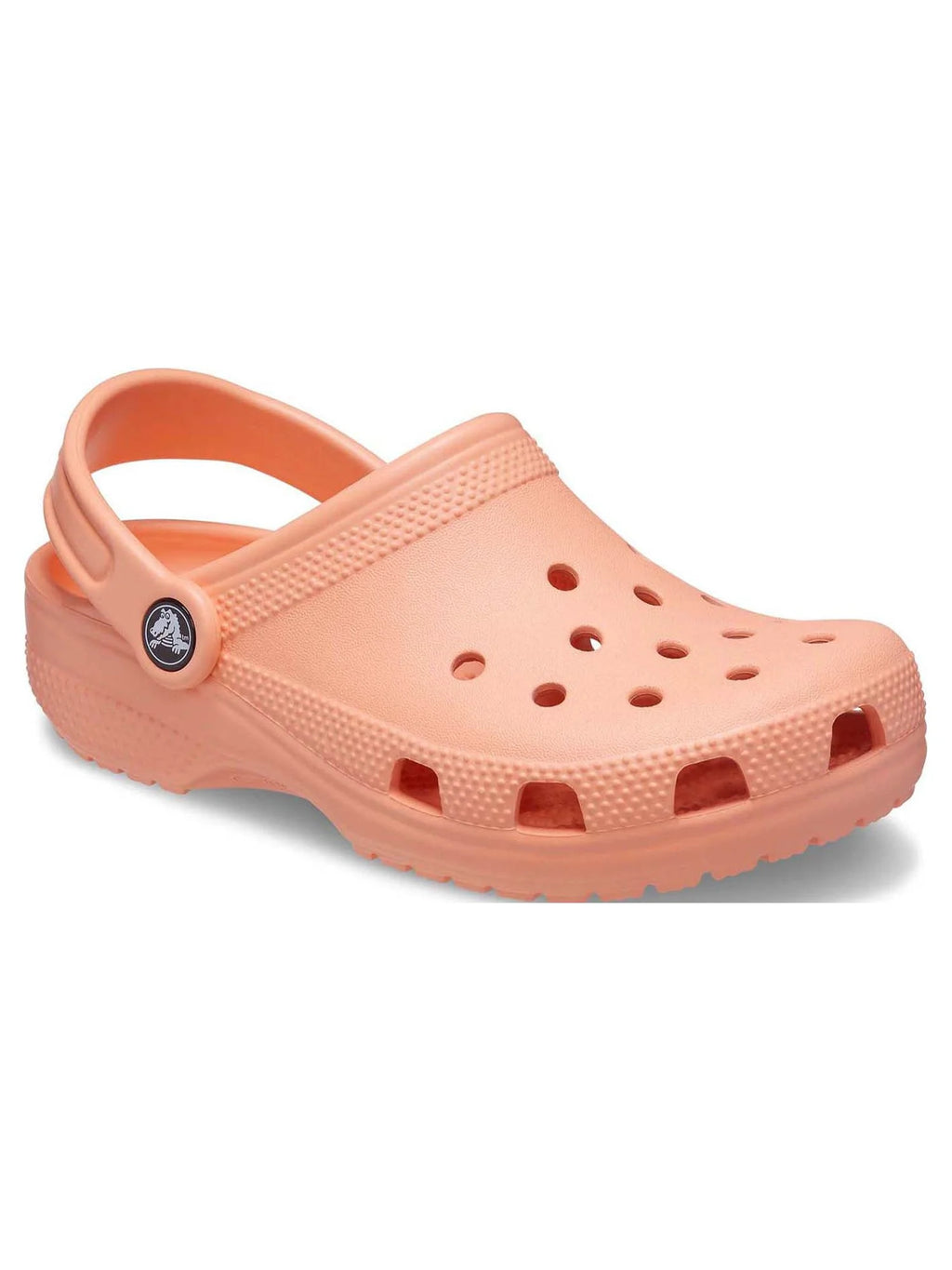 Toddler & Kids Classic Clog L504