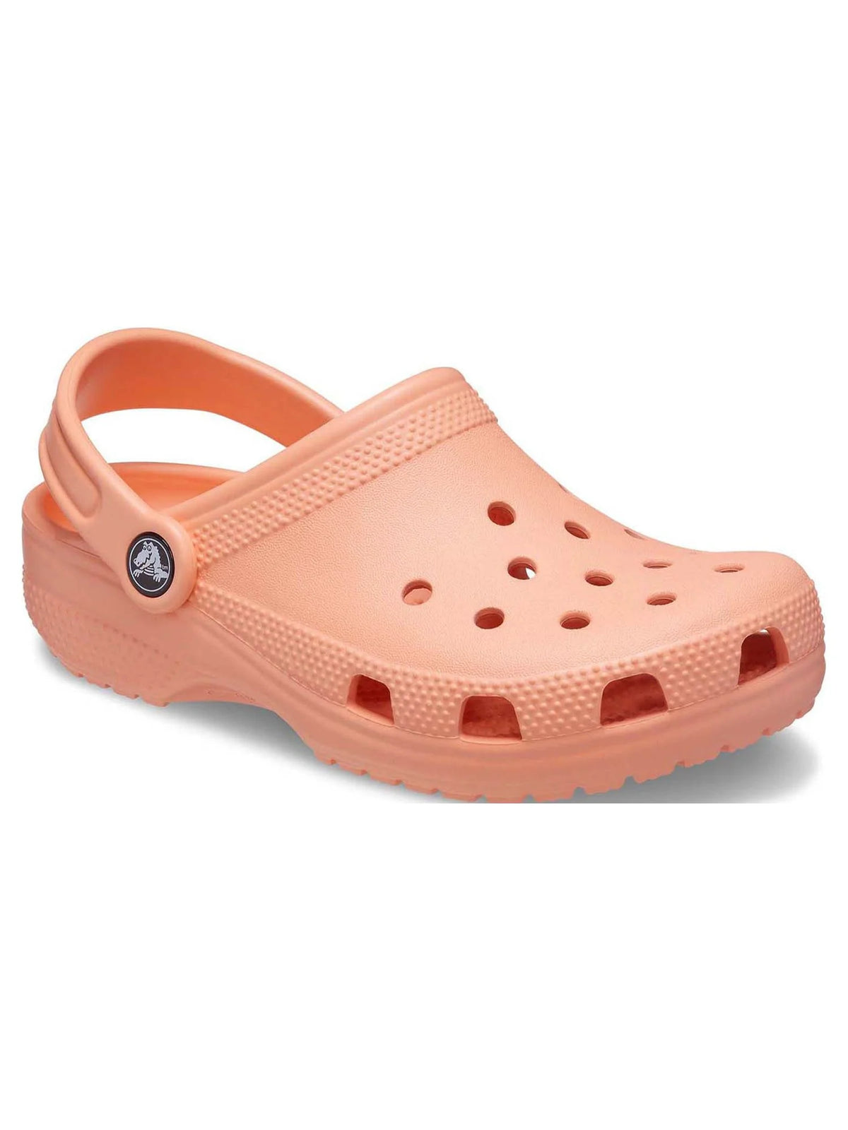 Toddler & Kids Classic Clog L504