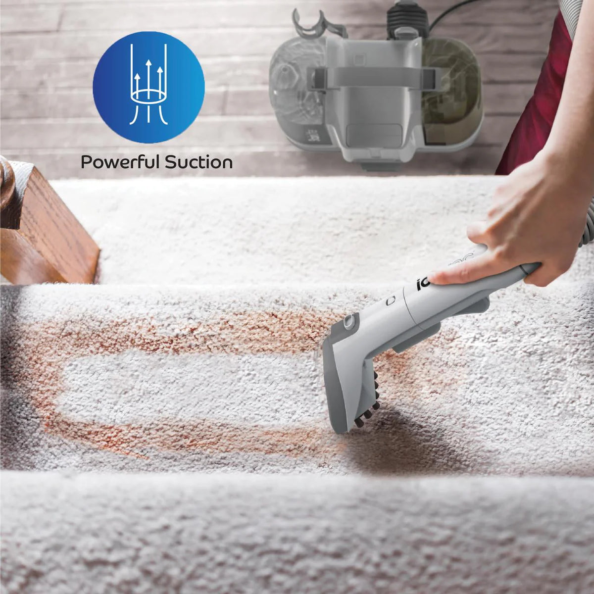 Portable Carpet and Upholstery Cleaner Z807006