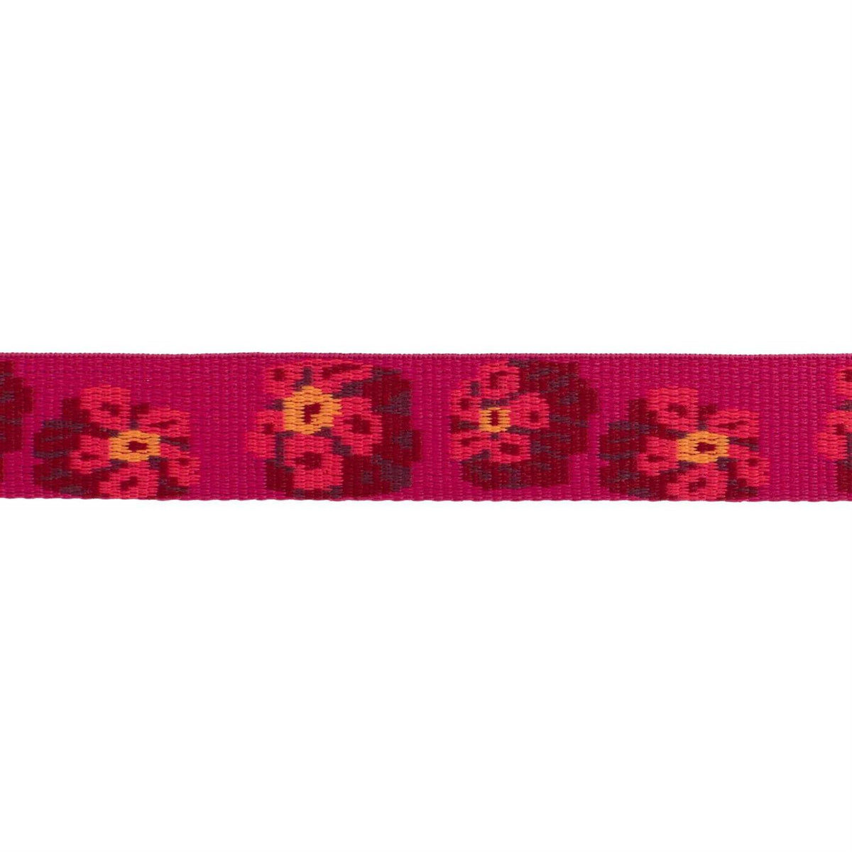 Dog Collar F301