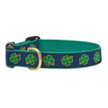 Dog Collar F2958