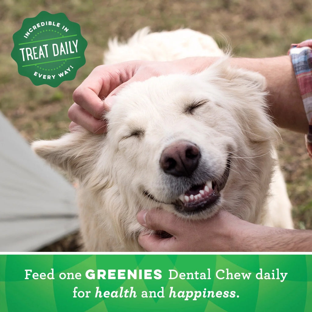 Original Flavor Dental Treats for Dogs 18 oz 4 Pack W514
