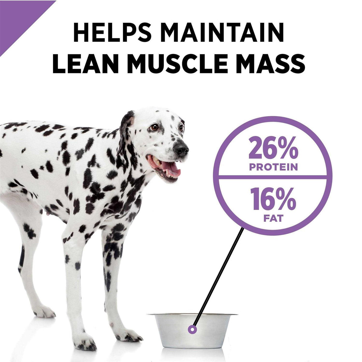 Dry Dog Food O9697